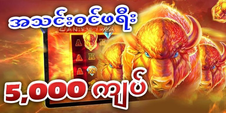 စတင်သူ ဖရီး 5,000 ကျပ်