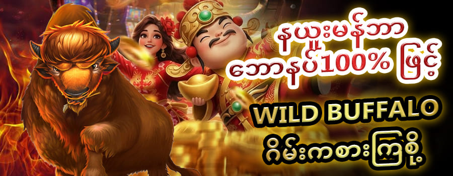 ကျွဲ စလော့ app wild buffalo 